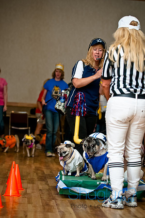 PugOWeen-214