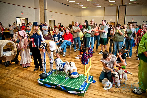 PugOWeen-246