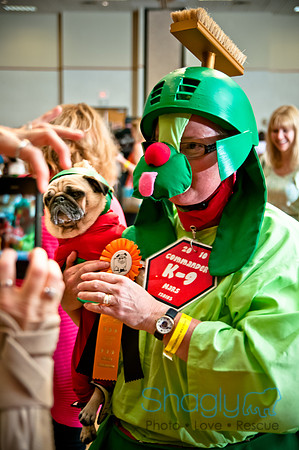 PugOWeen-255