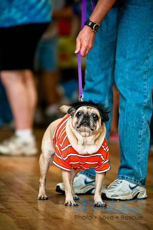 PugOWeen-67