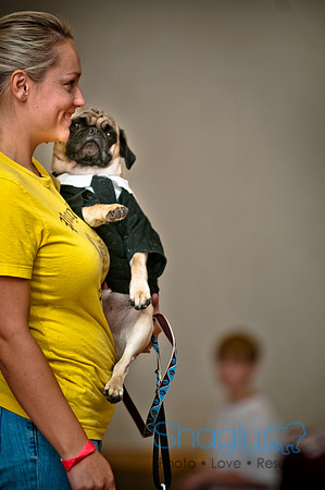 PugOWeen-184