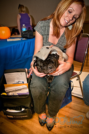 PugOWeen-292