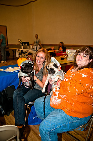 PugOWeen-284
