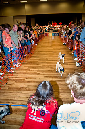 PugOWeen-266