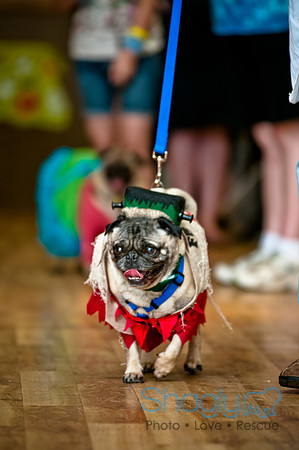 PugOWeen-113