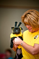 PugOWeen-17