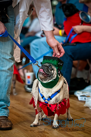 PugOWeen-116