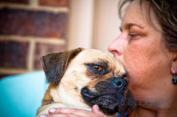 DFW Pug Rescue-27