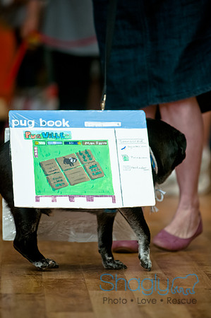 PugOWeen-122