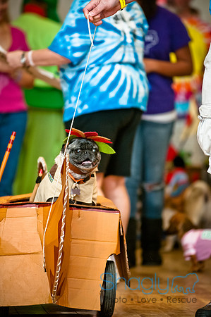 PugOWeen-57