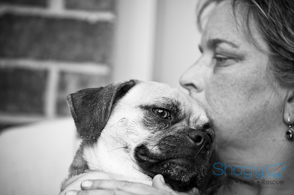 DFW Pug Rescue-28
