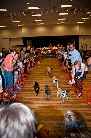 PugOWeen-283