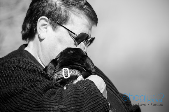Pug Play Date-2