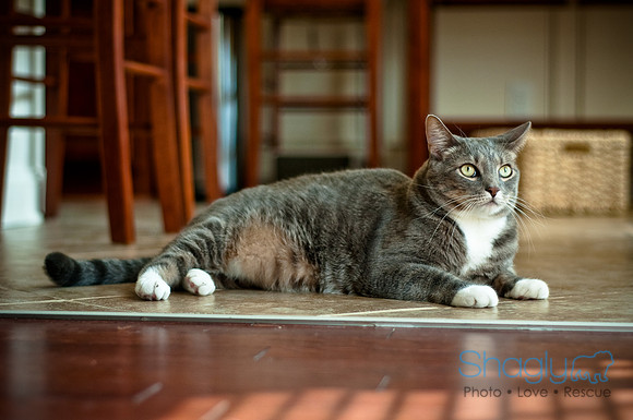 Smokey and Gracie-12
