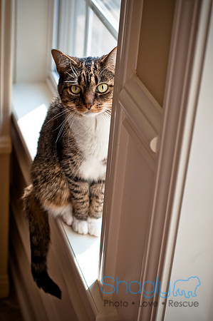 Smokey and Gracie-11