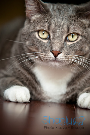 Smokey and Gracie-42