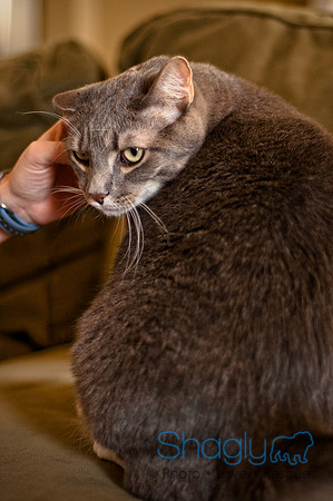 Smokey and Gracie-8