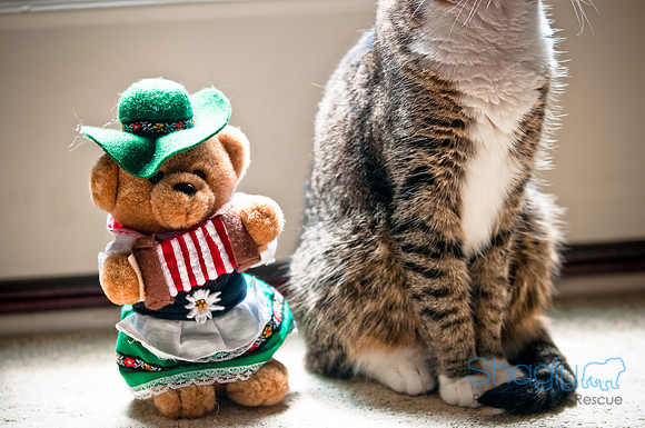 Smokey and Gracie-45