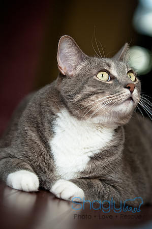 Smokey and Gracie-36