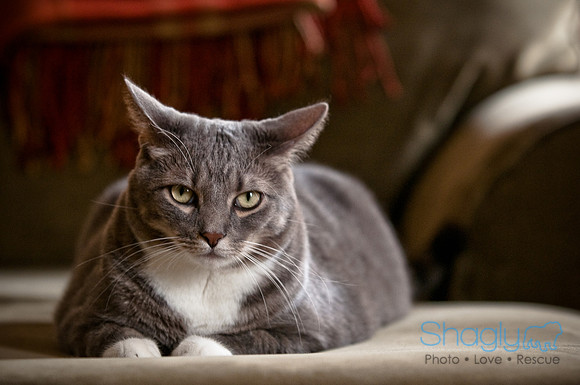 Smokey and Gracie-46
