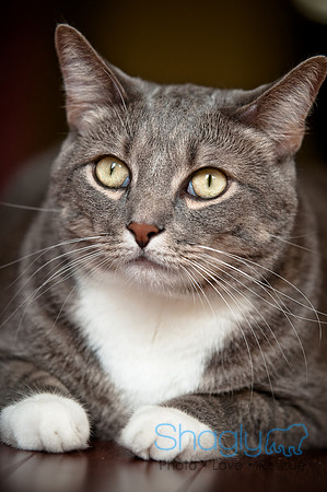 Smokey and Gracie-32