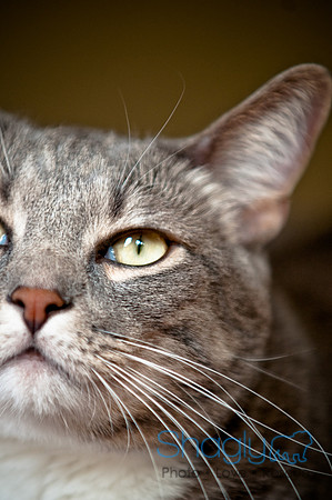 Smokey and Gracie-26