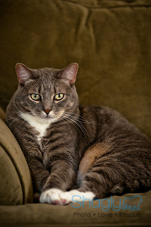 Smokey and Gracie-53