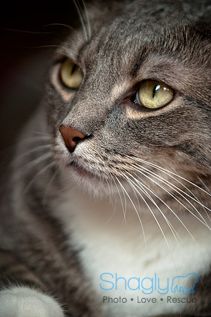 Smokey and Gracie-37