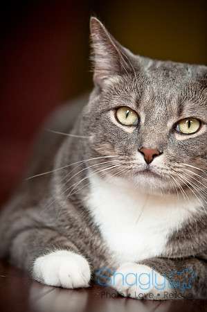 Smokey and Gracie-33