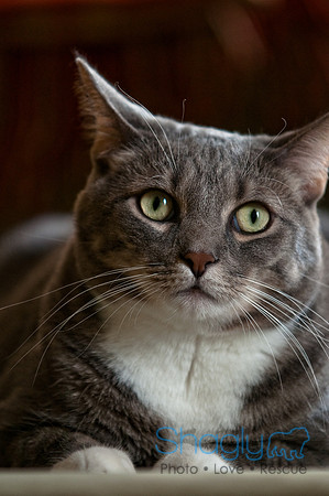 Smokey and Gracie-49