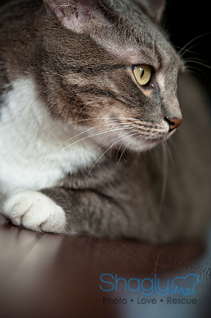 Smokey and Gracie-38