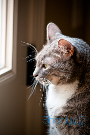 Smokey and Gracie-57
