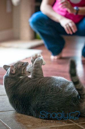 Smokey and Gracie-61