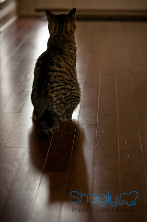 Smokey and Gracie-51