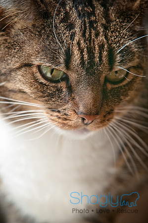 Smokey and Gracie-22