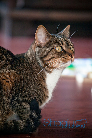 Smokey and Gracie-14