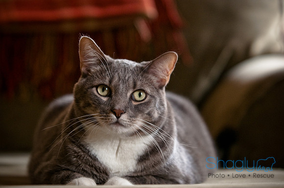 Smokey and Gracie-47
