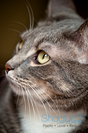Smokey and Gracie-31