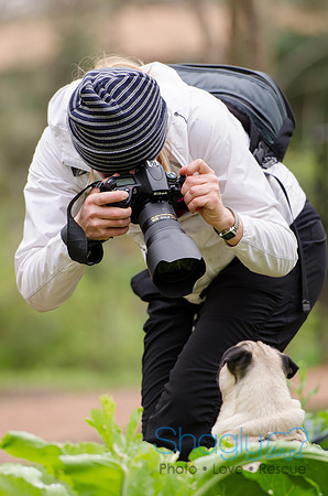 Pug-6