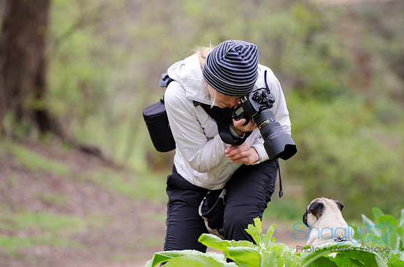 Pug-4