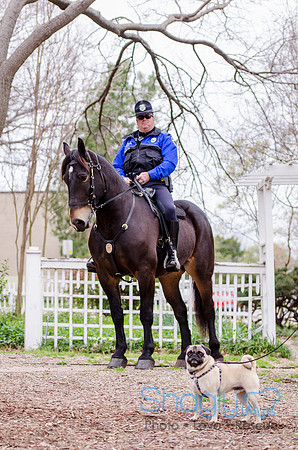 Pug-13