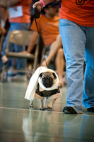 PugOWeen-2733