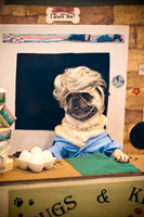 PugOWeen-3681