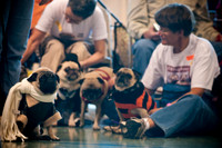 PugOWeen-2728
