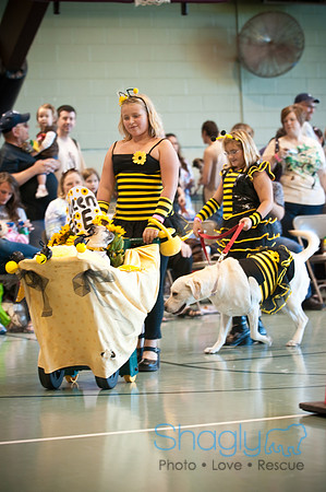 PugOWeen-3198