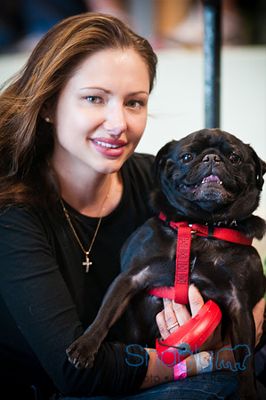 PugOWeen-2