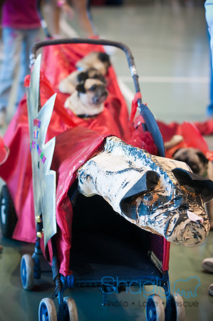 PugOWeen-3635