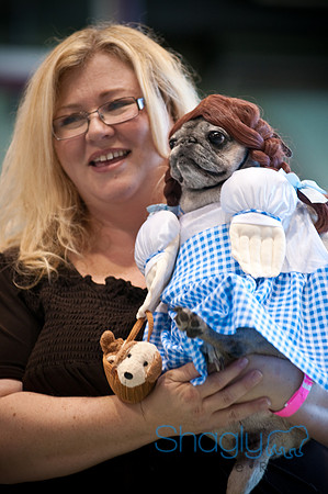 PugOWeen-3208