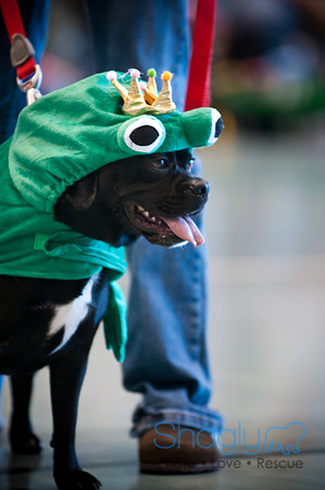 PugOWeen-2760