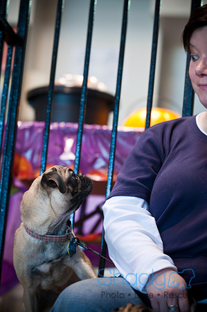 PugOWeen-3442